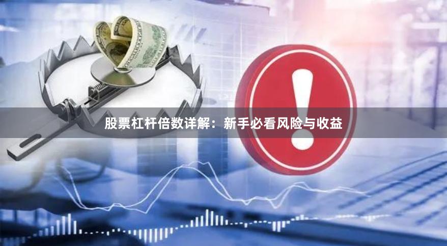 股票杠杆倍数详解：新手必看风险与收益